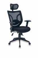 BOLIZ Müdür Koltuğu 2