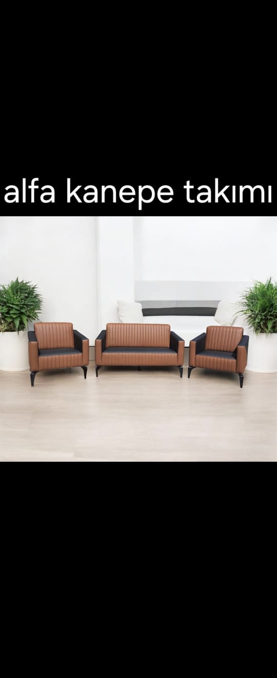 Alfa Kanepe Takımı