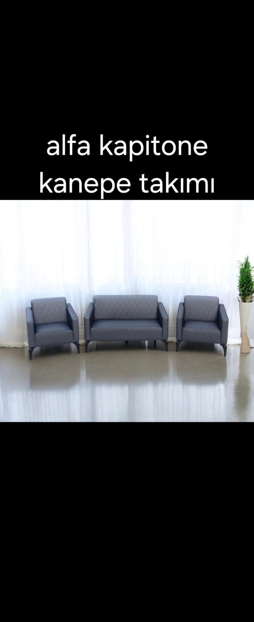 Alfa Kapitone Kanepe Takımı