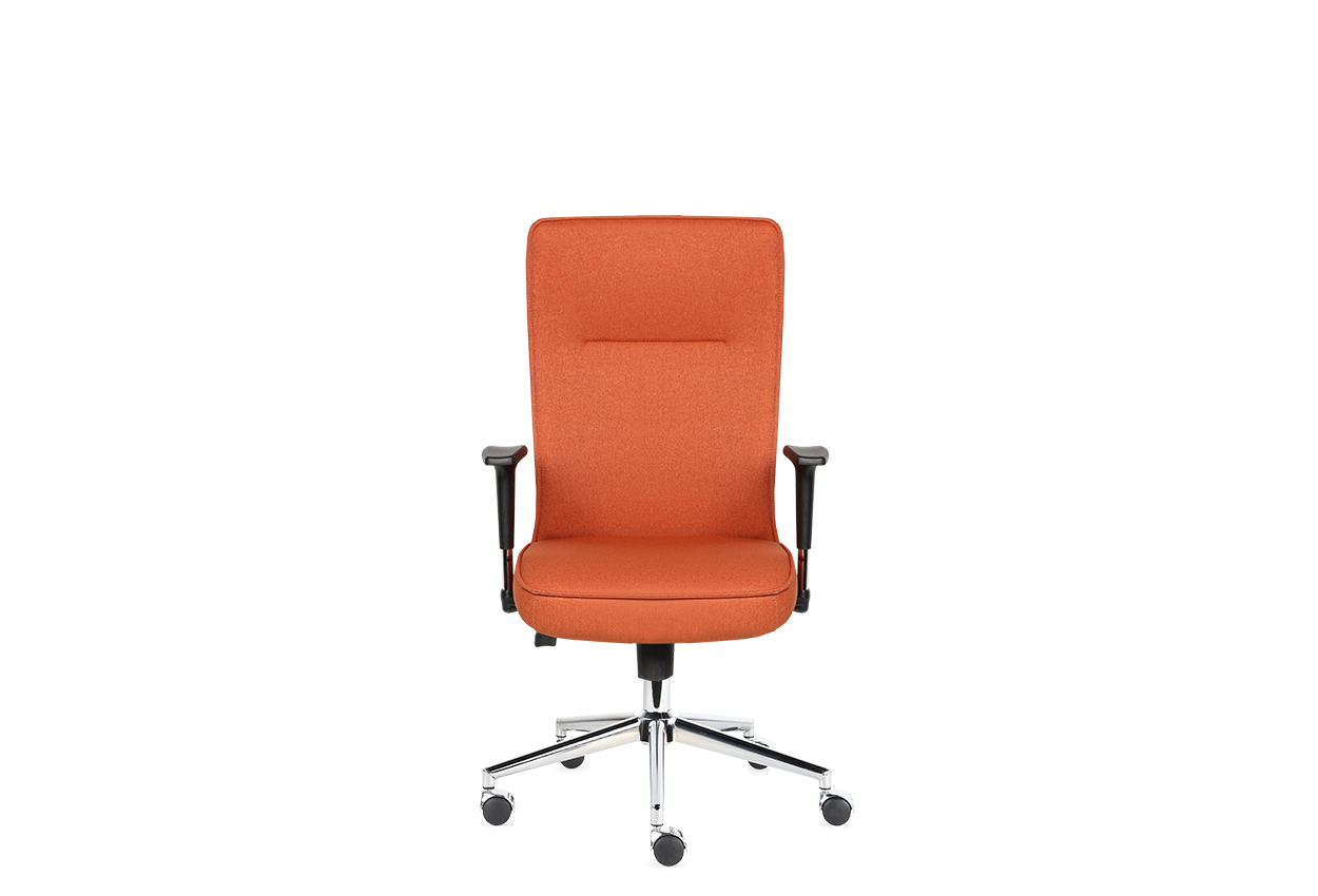 Anka Çalışma Koltuğu